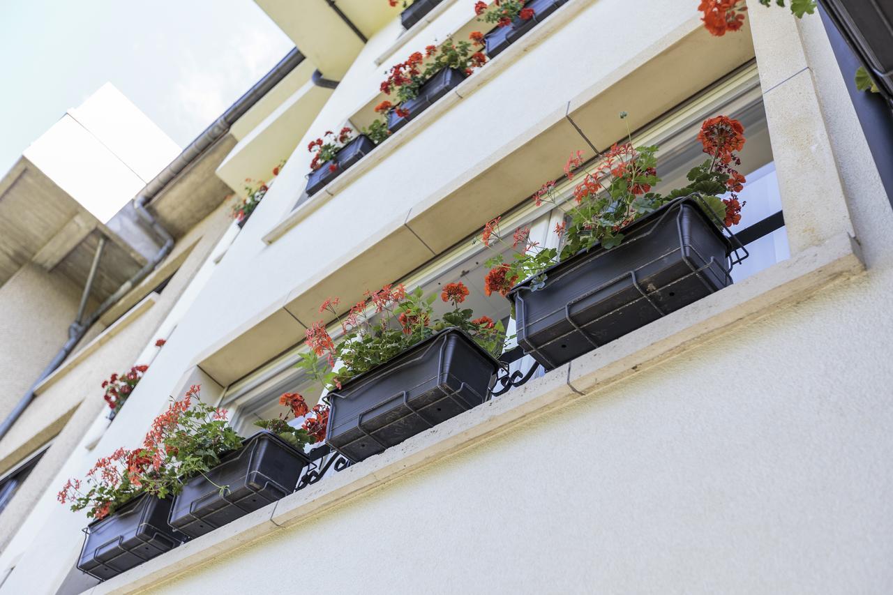 The Queen Luxury - Vinicia Luxemburg
